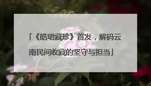 《皓珺藏珍》首发，解码云南民间收藏的坚守与担当