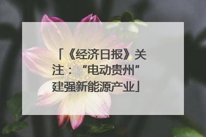 《经济日报》关注：“电动贵州”建强新能源产业