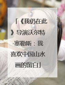 《我仍在此》导演沃尔特·塞勒斯：我喜欢中国山水画的留白