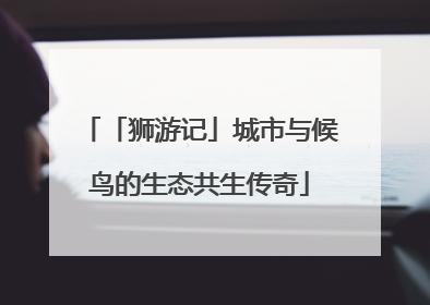 「狮游记」城市与候鸟的生态共生传奇