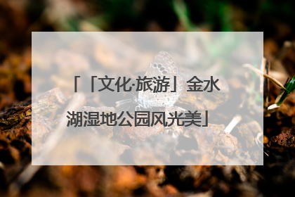 「文化·旅游」金水湖湿地公园风光美