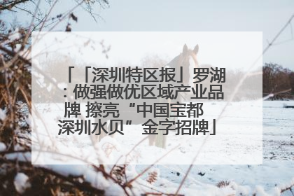 「深圳特区报」罗湖：做强做优区域产业品牌 擦亮“中国宝都 深圳水贝”金字招牌
