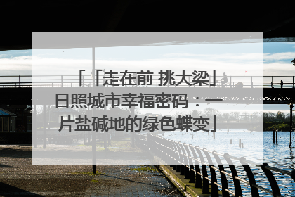 「走在前 挑大梁」日照城市幸福密码：一片盐碱地的绿色蝶变