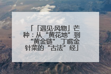 「遇见·风物」芒种：从“黄花地”到“黄金链” 丁嘴金针菜的“古法”经
