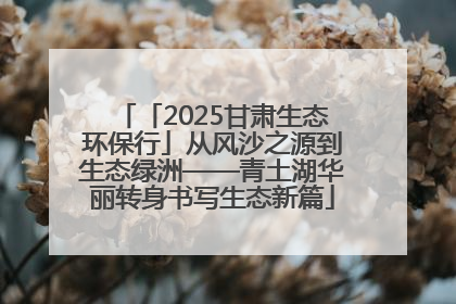 「2025甘肃生态环保行」从风沙之源到生态绿洲——青土湖华丽转身书写生态新篇