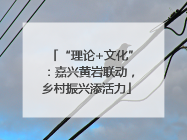 “理论+文化”：嘉兴黄岩联动，乡村振兴添活力