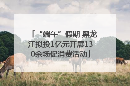 “端午”假期 黑龙江拟投1亿元开展130余场促消费活动