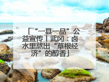 “一县一品”公益宣传丨武冈：卤水里熬出“草根经济”的醇香