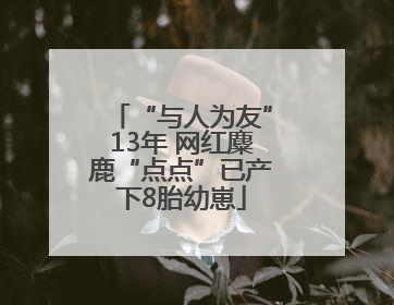 “与人为友”13年 网红麋鹿“点点”已产下8胎幼崽