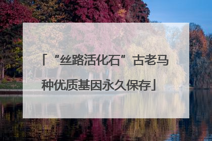 “丝路活化石”古老马种优质基因永久保存