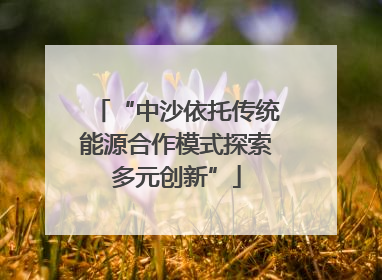 “中沙依托传统能源合作模式探索多元创新”