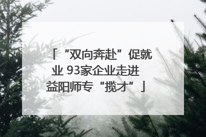 “双向奔赴”促就业 93家企业走进益阳师专“揽才”