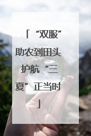 “双服”助农到田头 护航“三夏”正当时
