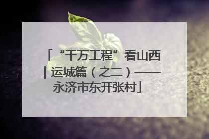 “千万工程”看山西｜运城篇（之二）——永济市东开张村