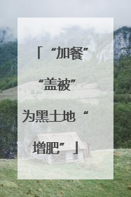 “加餐”“盖被” 为黑土地“增肥”