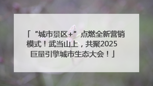 “城市景区+”点燃全新营销模式！武当山上，共聚2025巨量引擎城市生态大会！