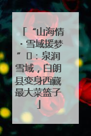 “山海情・雪域援梦”⑪：泉润雪域，白朗县变身西藏最大菜篮子