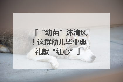 “幼苗”沐清风！这群幼儿毕业典礼献“红心”