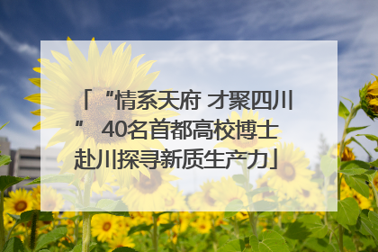“情系天府 才聚四川” 40名首都高校博士赴川探寻新质生产力