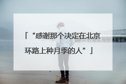 “感谢那个决定在北京环路上种月季的人”