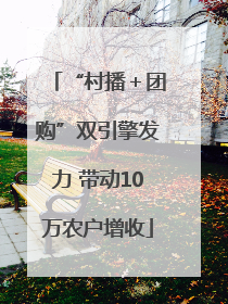 “村播＋团购”双引擎发力 带动10万农户增收
