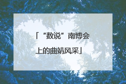 “数说”南博会上的曲靖风采