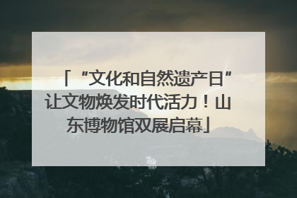 “文化和自然遗产日”让文物焕发时代活力！山东博物馆双展启幕