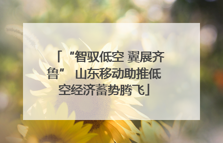 “智驭低空 翼展齐鲁” 山东移动助推低空经济蓄势腾飞