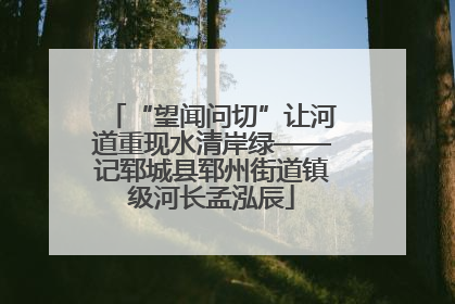“望闻问切”让河道重现水清岸绿——记郓城县郓州街道镇级河长孟泓辰