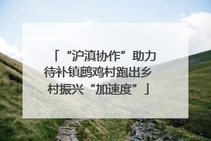 “沪滇协作”助力待补镇鹧鸡村跑出乡村振兴“加速度”