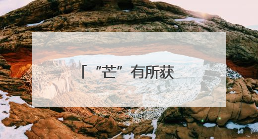“芒”有所获 “种”下希望 滨州职业学院进行劳动实践教育活动