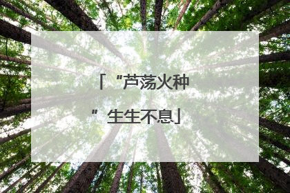 “芦荡火种”生生不息