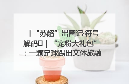 “苏超”出圈记·符号解码㉛｜“宠粉大礼包”：一颗足球踢出文体旅融合“链式反应”