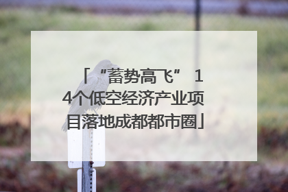 “蓄势高飞” 14个低空经济产业项目落地成都都市圈