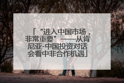 “进入中国市场，非常重要”——从肯尼亚-中国投资对话会看中非合作机遇