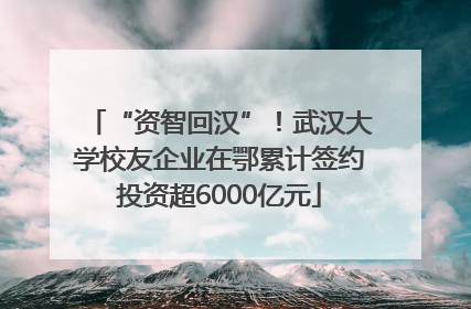 “资智回汉”！武汉大学校友企业在鄂累计签约投资超6000亿元