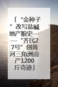 “金种子”改写盐碱地产粮史——“齐民27号”创黄河三角洲亩产1200斤奇迹