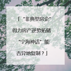 “非典型房企”得力房产逆势拓储 “宁海神话”能否异地复制？
