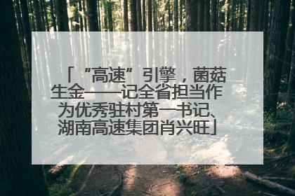 “高速”引擎，菌菇生金——记全省担当作为优秀驻村第一书记、湖南高速集团肖兴旺