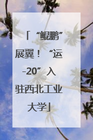 “鲲鹏”展翼！“运-20”入驻西北工业大学