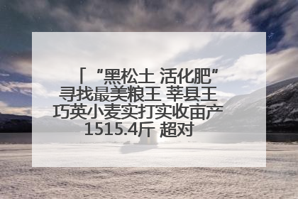 “黑松土 活化肥”寻找最美粮王 莘县王巧英小麦实打实收亩产1515.4斤 超对照田144斤！