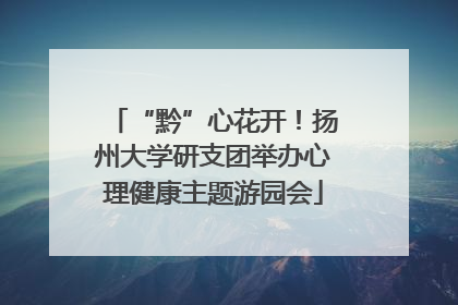 “黔”心花开！扬州大学研支团举办心理健康主题游园会