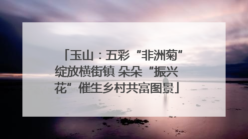 玉山：五彩“非洲菊”绽放横街镇 朵朵“振兴花”催生乡村共富图景