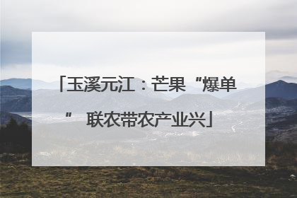 玉溪元江：芒果“爆单” 联农带农产业兴