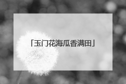 玉门花海瓜香满田
