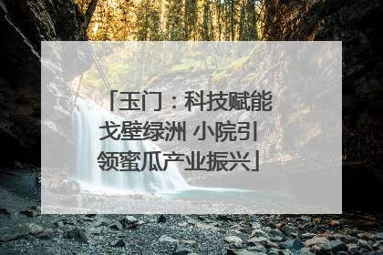 玉门：科技赋能戈壁绿洲 小院引领蜜瓜产业振兴