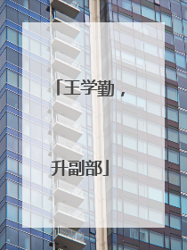 王学勤，升副部