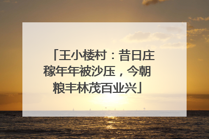 王小楼村：昔日庄稼年年被沙压，今朝粮丰林茂百业兴