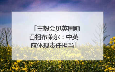 王毅会见英国前首相布莱尔：中英应体现责任担当
