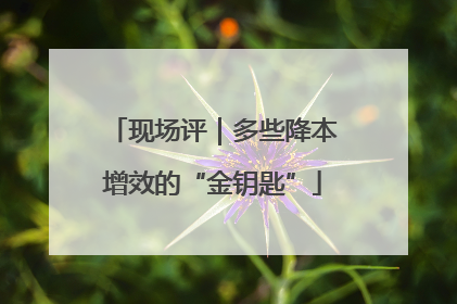 现场评｜多些降本增效的“金钥匙”